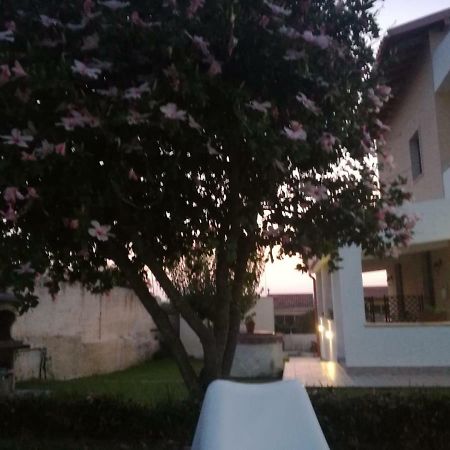 Bed and Breakfast La Casa Delle Farfalle Syracuse Екстер'єр фото