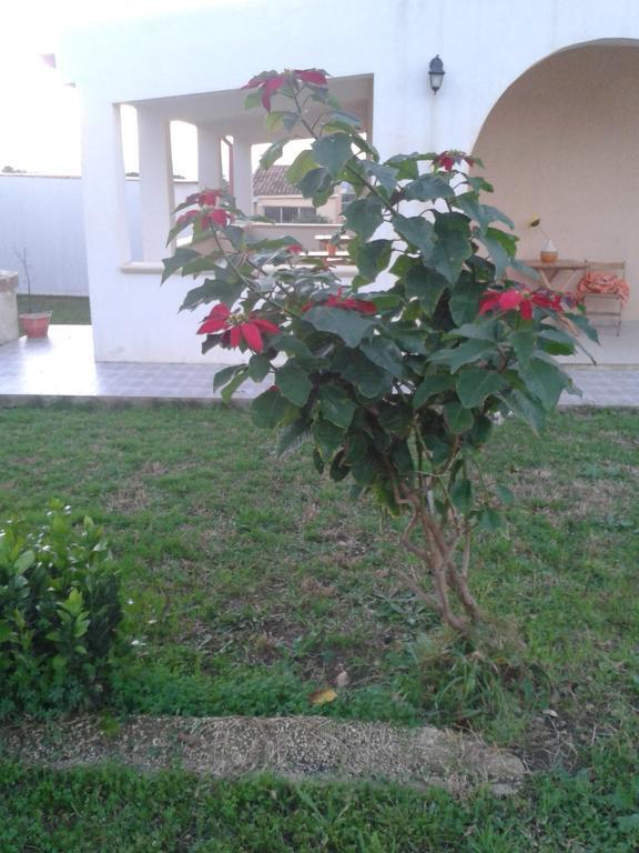 Bed and Breakfast La Casa Delle Farfalle Syracuse Екстер'єр фото