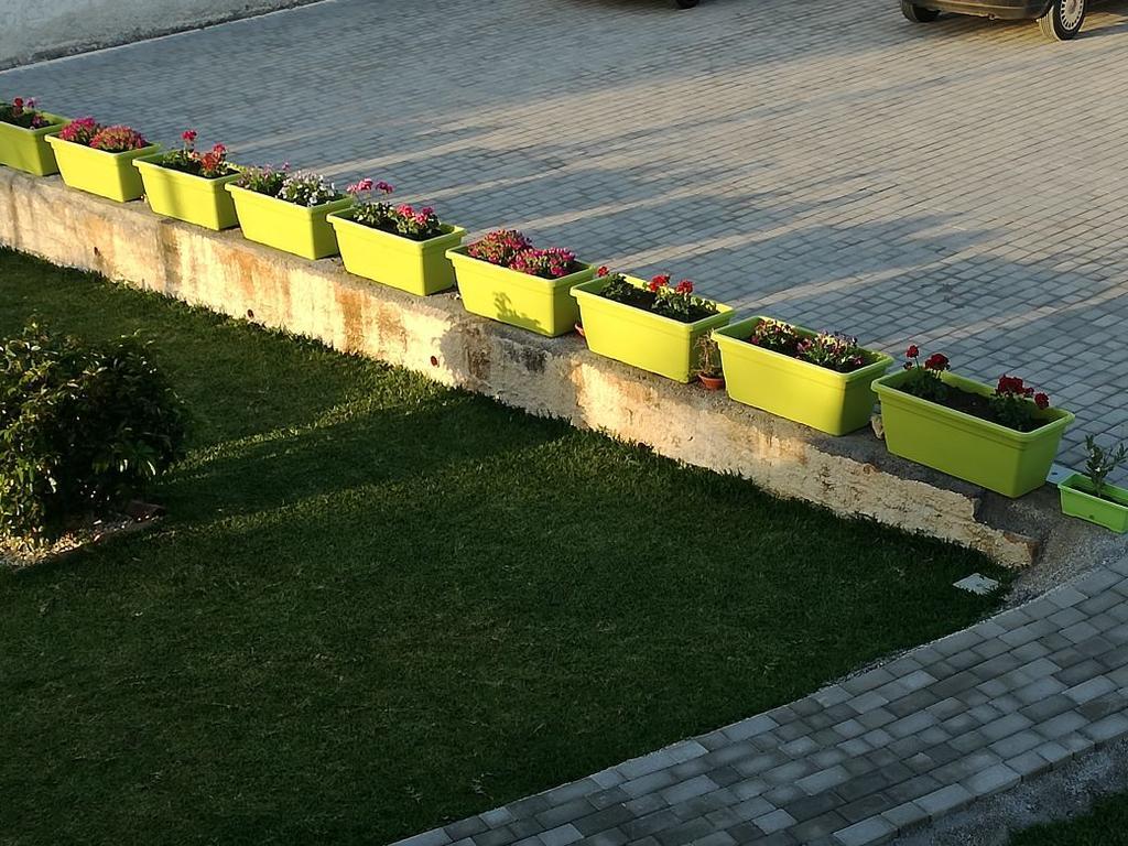 Bed and Breakfast La Casa Delle Farfalle Syracuse Екстер'єр фото