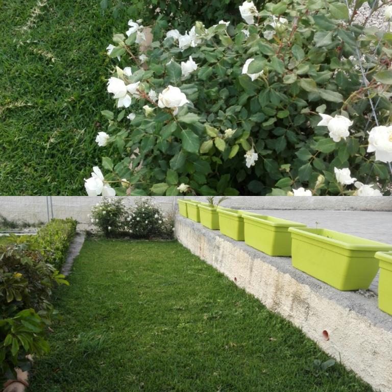 Bed and Breakfast La Casa Delle Farfalle Syracuse Екстер'єр фото