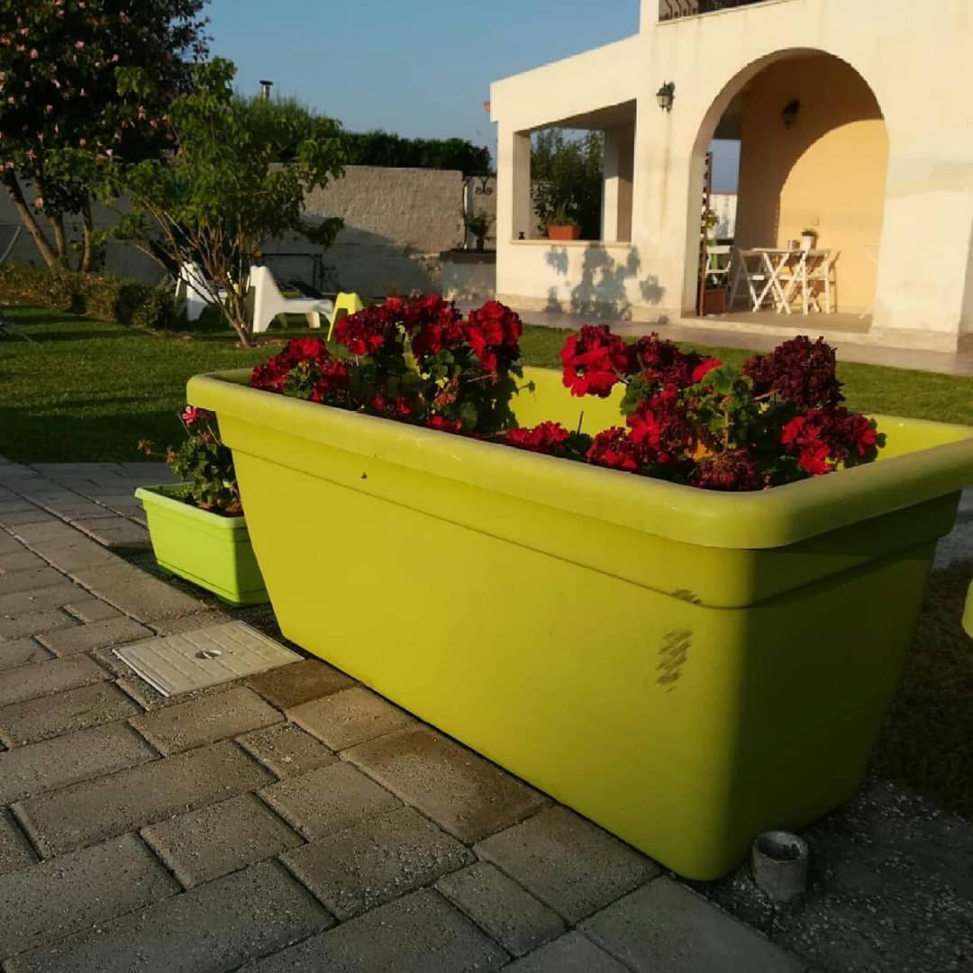 Bed and Breakfast La Casa Delle Farfalle Syracuse Екстер'єр фото