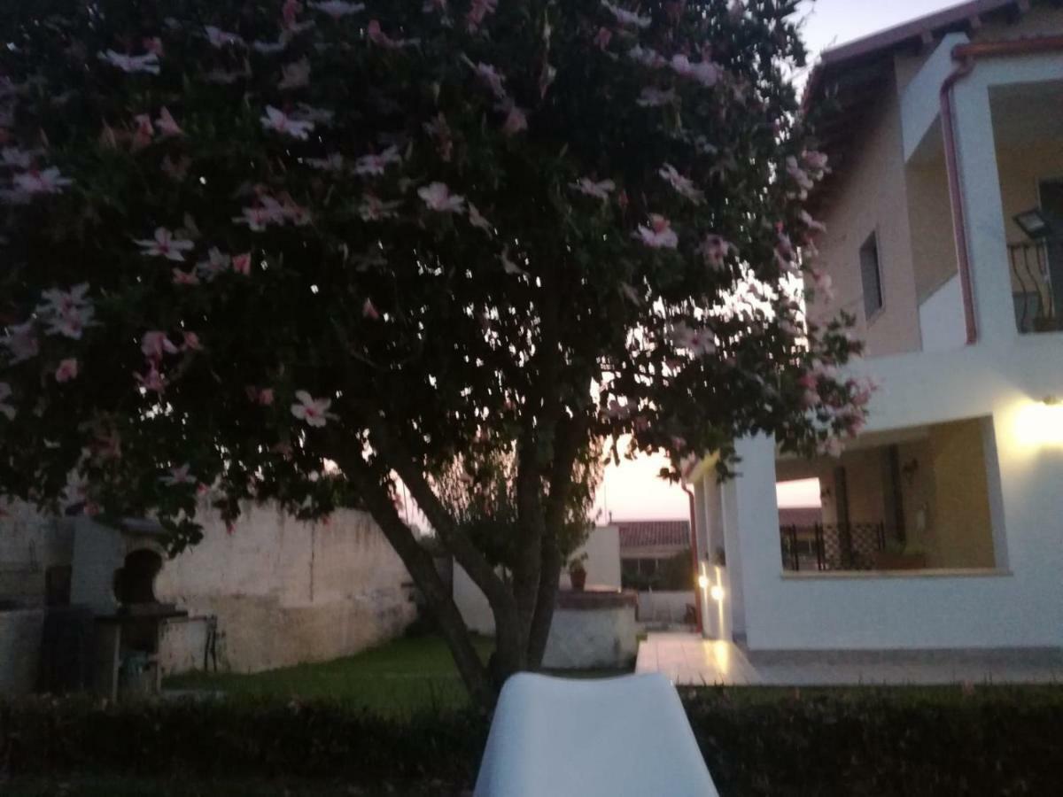 Bed and Breakfast La Casa Delle Farfalle Syracuse Екстер'єр фото